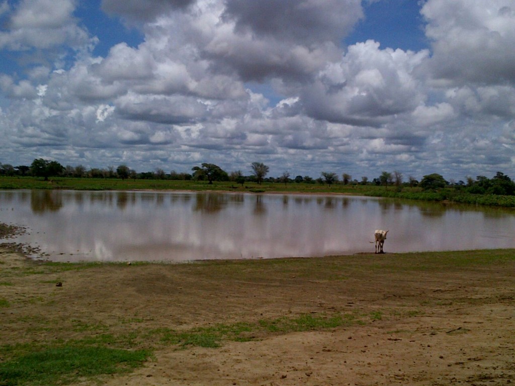 The reservoir just before deploying the SediMeter™